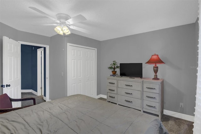 503 Portland Cir, Apopka, FL 32703 - photo 36