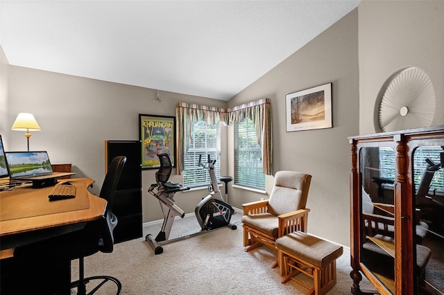 871 Paddington Ter, Lake Mary, FL 32746 - carpeted office space featuring vaulted ceiling and baseboards