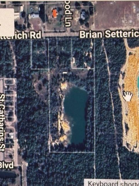 250 Brian Setterich Rd, Wewahitchka, FL 32465