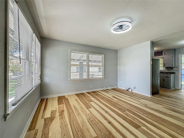 207 Kay St, Auburndale, FL 33823 - unfurnished living room with light wood-type flooring, plenty of natural light, and a textured ceiling