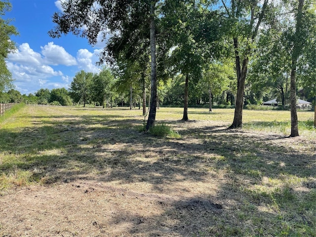 Cassady St, Umatilla, FL 32784 - photo 1