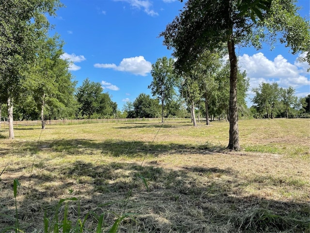 Cassady St, Umatilla, FL 32784 - photo 3
