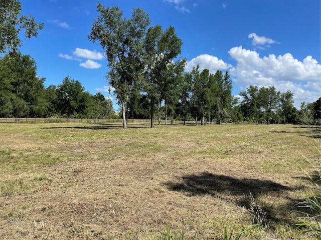 Cassady St, Umatilla, FL 32784 - photo 5