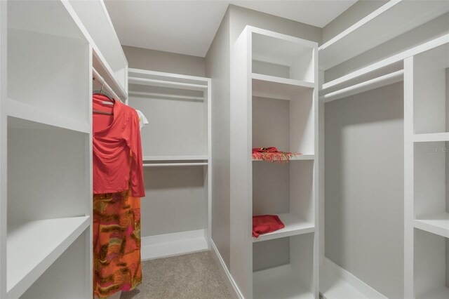 102 Linda Ln, Lake Mary, FL 32746 - spacious closet with carpet flooring