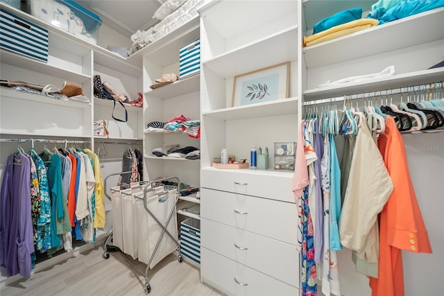 1962 Flora Pass Pl, Kissimmee, FL 34747 - spacious closet with light wood-style flooring