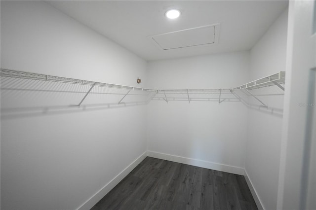 14308 Abington Heights Dr, Orlando, FL 32828 - photo 8