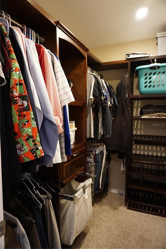 13785 SE 39th Ter, Summerfield, FL 34491 - walk in closet with carpet