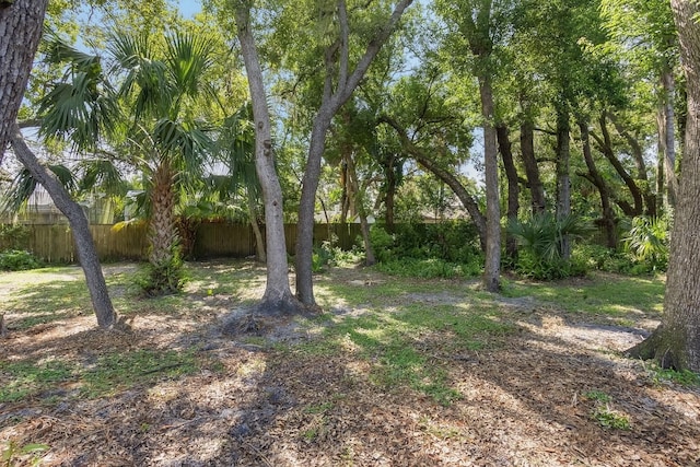 1029 Antelope Trl, Winter Springs, FL 32708 - view of yard