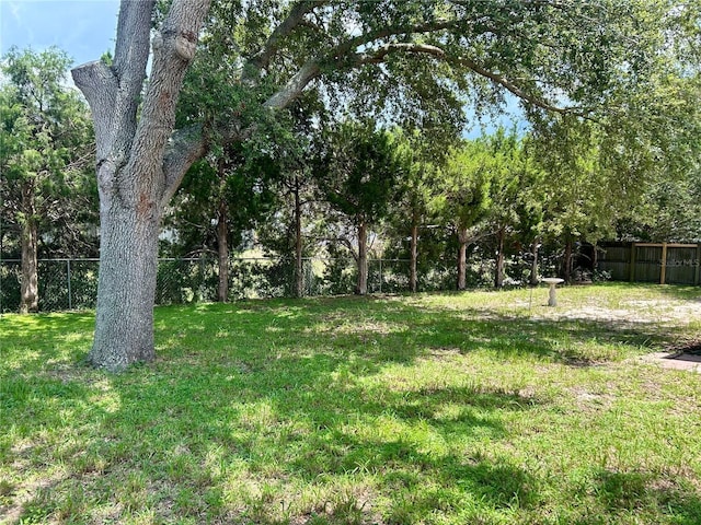 734 La Costa St, Minneola, FL 34715 - view of yard