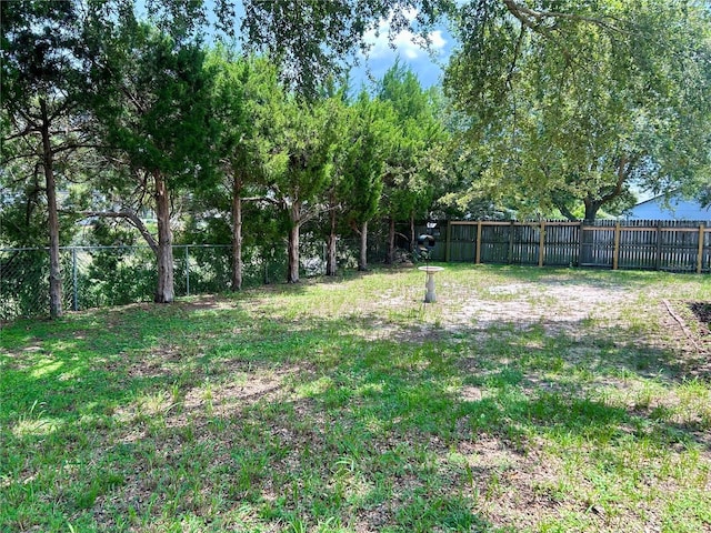 734 La Costa St, Minneola, FL 34715 - view of yard