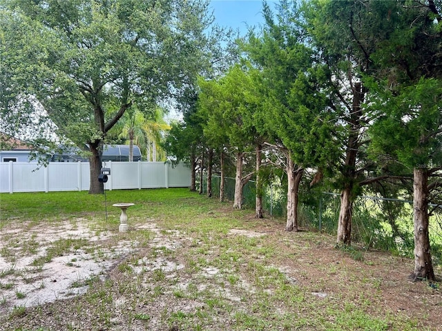 734 La Costa St, Minneola, FL 34715 - view of yard