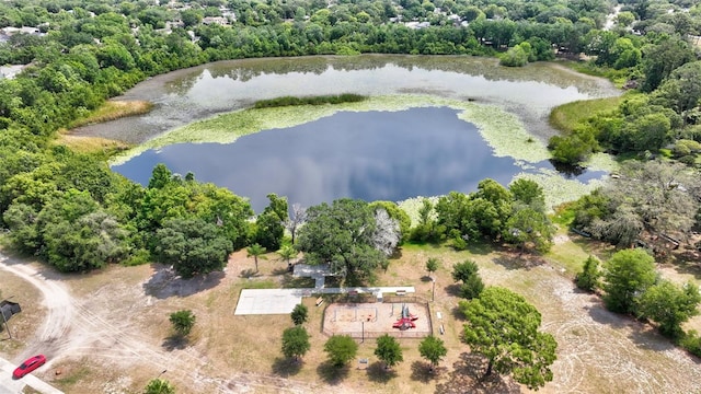 1039 Eagles Forrest Dr, Apopka, FL 32712 - aerial view of a nearby body of water