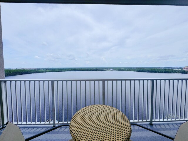 13427 Blue Heron Dr Unit 2-1401, Orlando, FL 32821 - photo 43