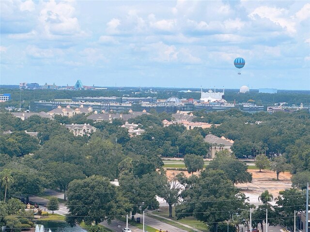 13427 Blue Heron Dr Unit 2-1401, Orlando, FL 32821 - photo 49