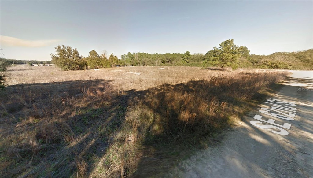 SE 62nd St, Morriston, FL 32668 - photo 2