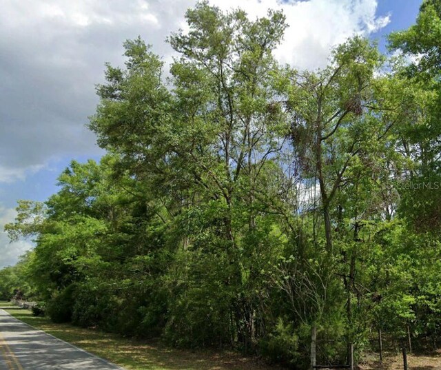 SW Wilson Springs Dr, Fort White, FL 32038