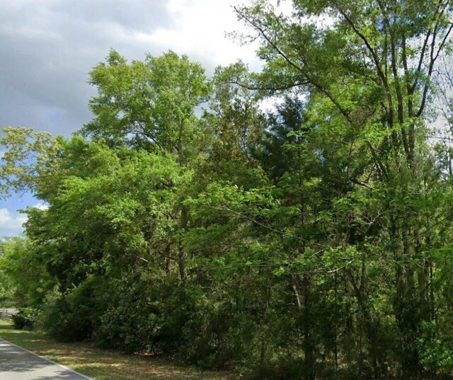 SW Wilson Springs Dr, Fort White, FL 32038
