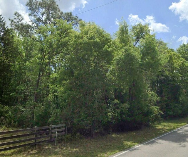 SW Wilson Springs Dr, Fort White, FL 32038