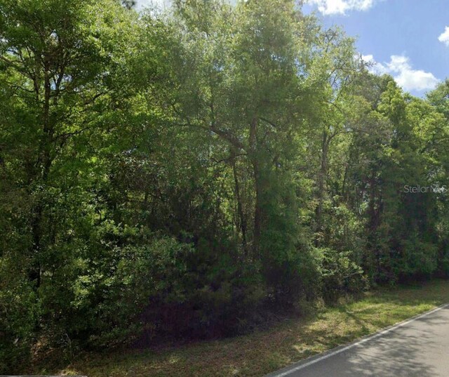SW Wilson Springs Dr, Fort White, FL 32038