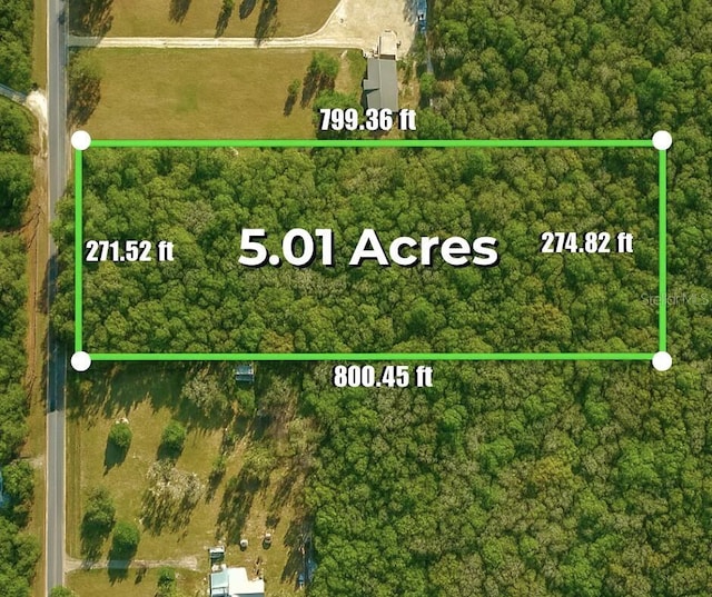 SW Wilson Springs Dr, Fort White, FL 32038 - photo 4