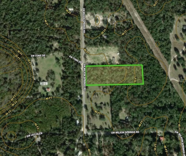 SW Wilson Springs Dr, Fort White, FL 32038 - photo 6