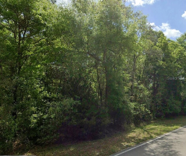 SW Wilson Springs Dr, Fort White, FL 32038 - photo 17
