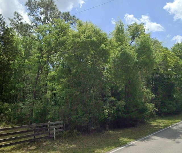 SW Wilson Springs Dr, Fort White, FL 32038 - photo 20