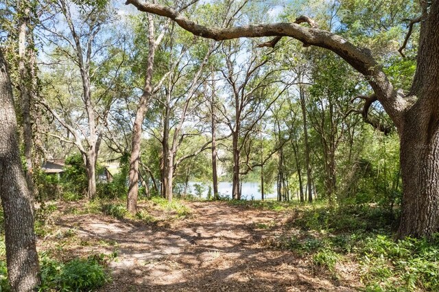 00000 Orange Cir, Lady Lake, FL 32159 - photo 11