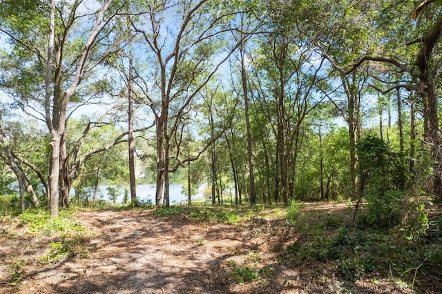 00000 Orange Cir, Lady Lake, FL 32159 - photo 12
