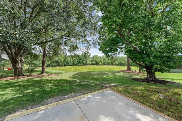 762 Lake Como Dr, Lake Mary, FL 32746 - view of green lawn with a patio area