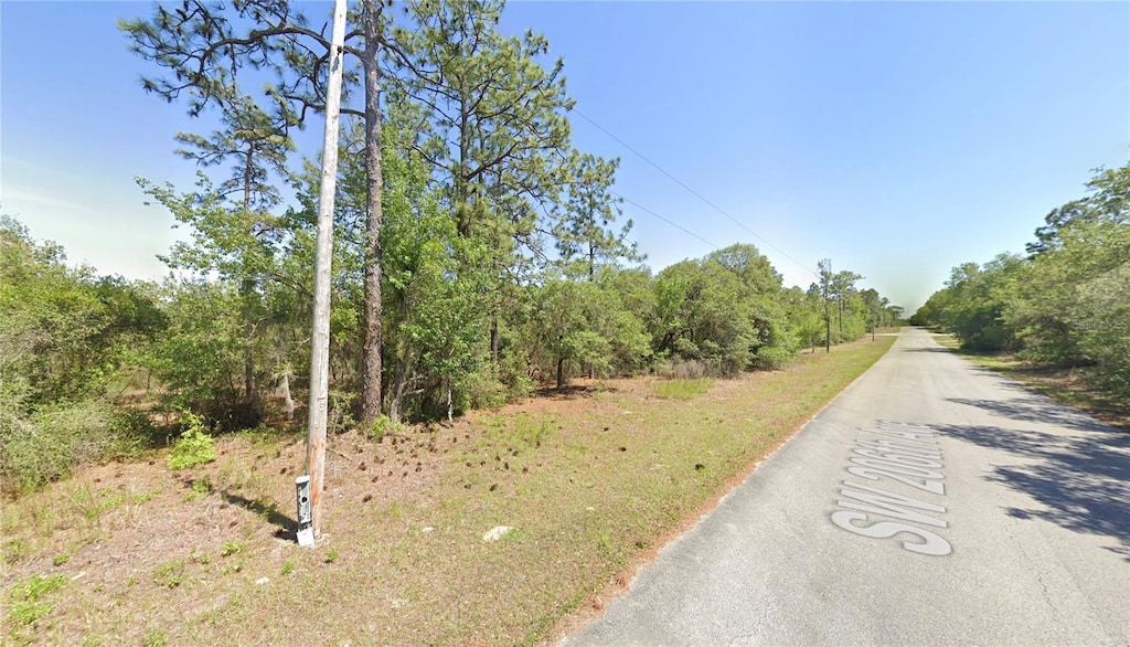 SW 206th Ave, Dunnellon, FL 34431 - photo 2