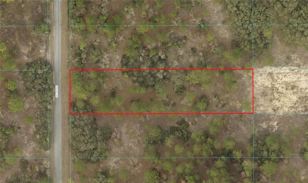 SW 206th Ave, Dunnellon, FL 34431 - photo 3