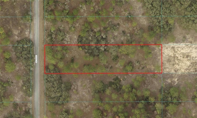 SW 206th Ave, Dunnellon, FL 34431 - photo 3