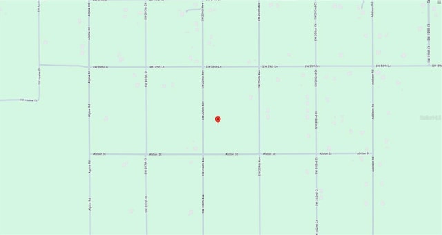 SW 206th Ave, Dunnellon, FL 34431 - photo 4
