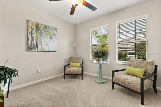 4704 Wild Senna Blvd, Tampa, FL 33619 - photo 2