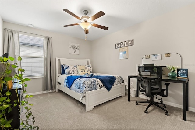 4704 Wild Senna Blvd, Tampa, FL 33619 - photo 21