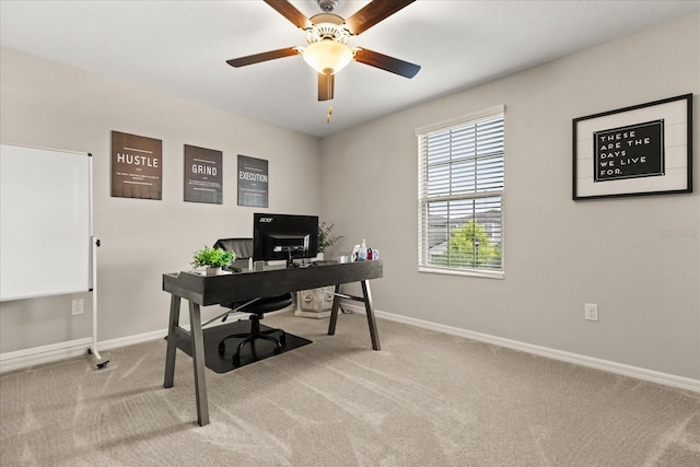 4704 Wild Senna Blvd, Tampa, FL 33619 - photo 28