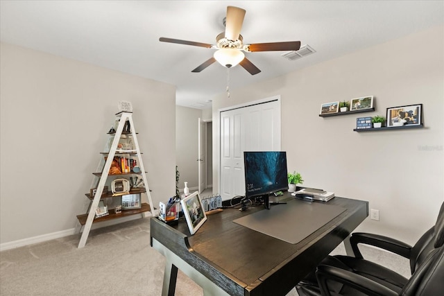4704 Wild Senna Blvd, Tampa, FL 33619 - photo 29