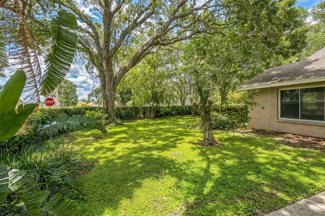 2002 Culpepper Dr, Brandon, FL 33511 - view of fenced backyard