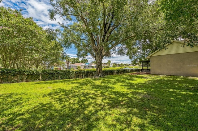 2002 Culpepper Dr, Brandon, FL 33511 - view of yard