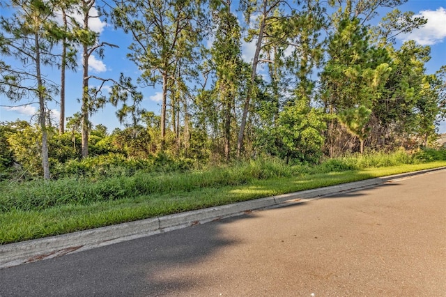 12449 Cruxbury Dr, Windermere, FL 34786 - photo 40