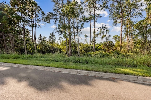12449 Cruxbury Dr, Windermere, FL 34786 - photo 41