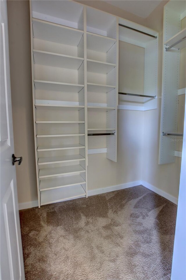 1679 Shadowmoss Cir, Lake Mary, FL 32746 - spacious closet with carpet