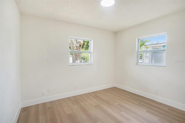 6208 S Harold Ave, Tampa, FL 33616 - photo 24