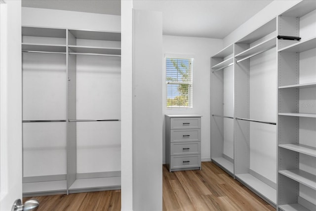 2781 Sand Oak Loop, Apopka, FL 32712 - spacious closet with light wood-style floors