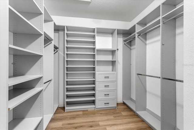 2781 Sand Oak Loop, Apopka, FL 32712 - spacious closet with light wood-style flooring