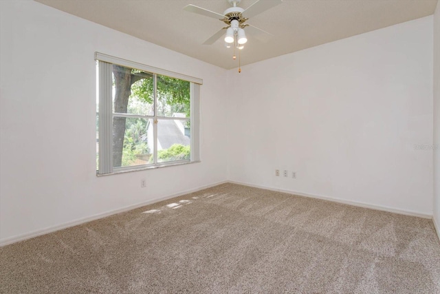 1354 American Elm Dr, Altamonte Springs, FL 32714 - photo 16
