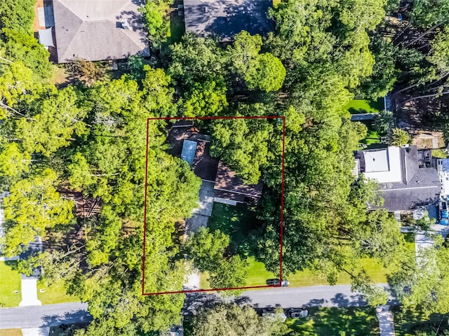 14202 Nell Dr, Orlando, FL 32832 - photo 17