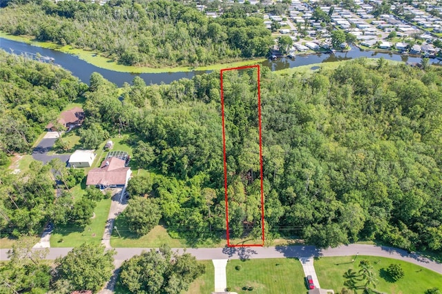 Haines Creek Rd, Leesburg, FL 34788 - photo 3