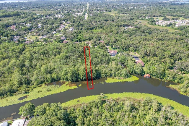 Haines Creek Rd, Leesburg, FL 34788 - photo 4